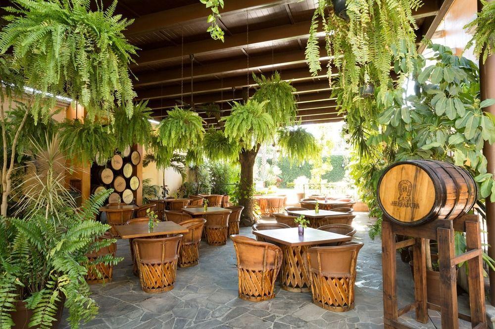 Hotel Villa Tequila Extérieur photo