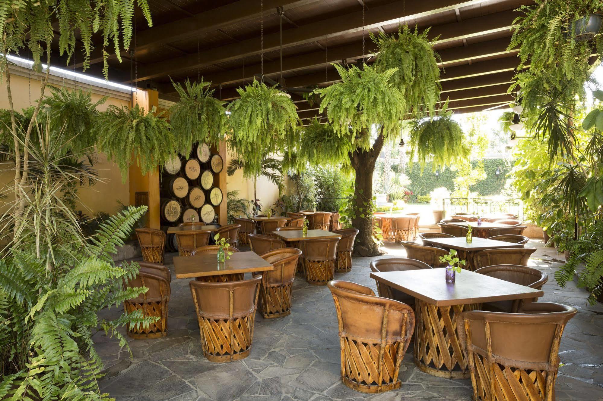 Hotel Villa Tequila Extérieur photo