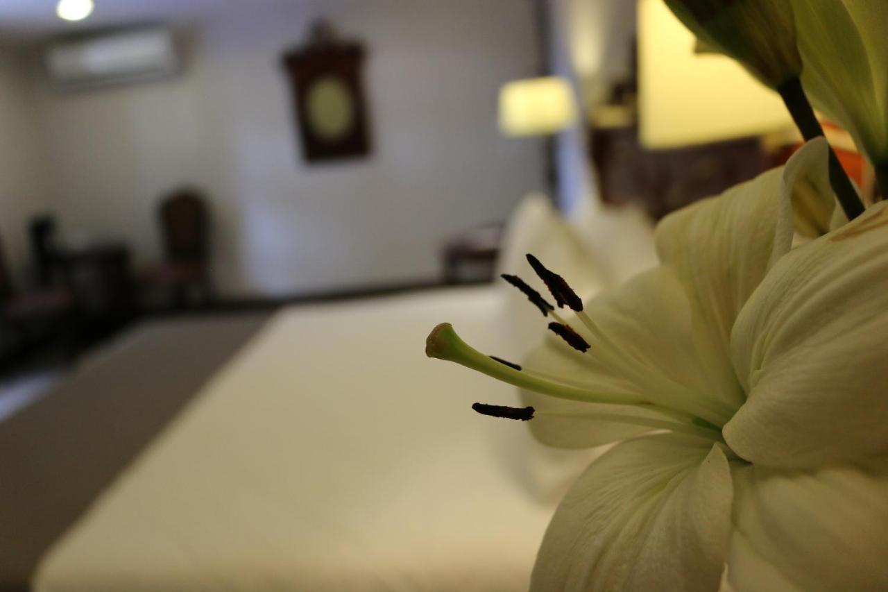 Hotel Villa Tequila Extérieur photo